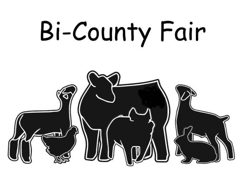 Fair Logo